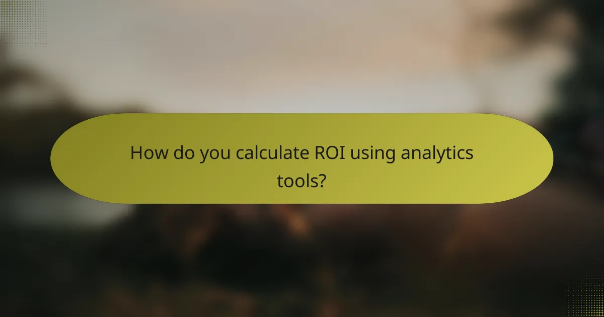 How do you calculate ROI using analytics tools?