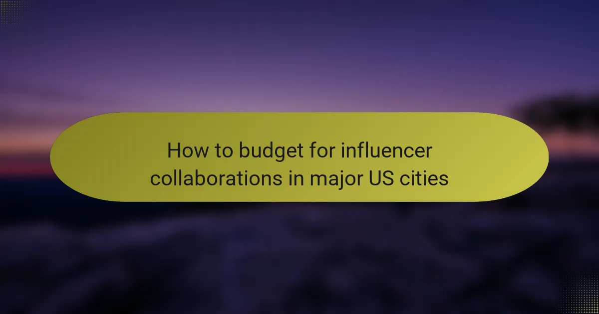 How to budget for influencer collaborations in major US cities
