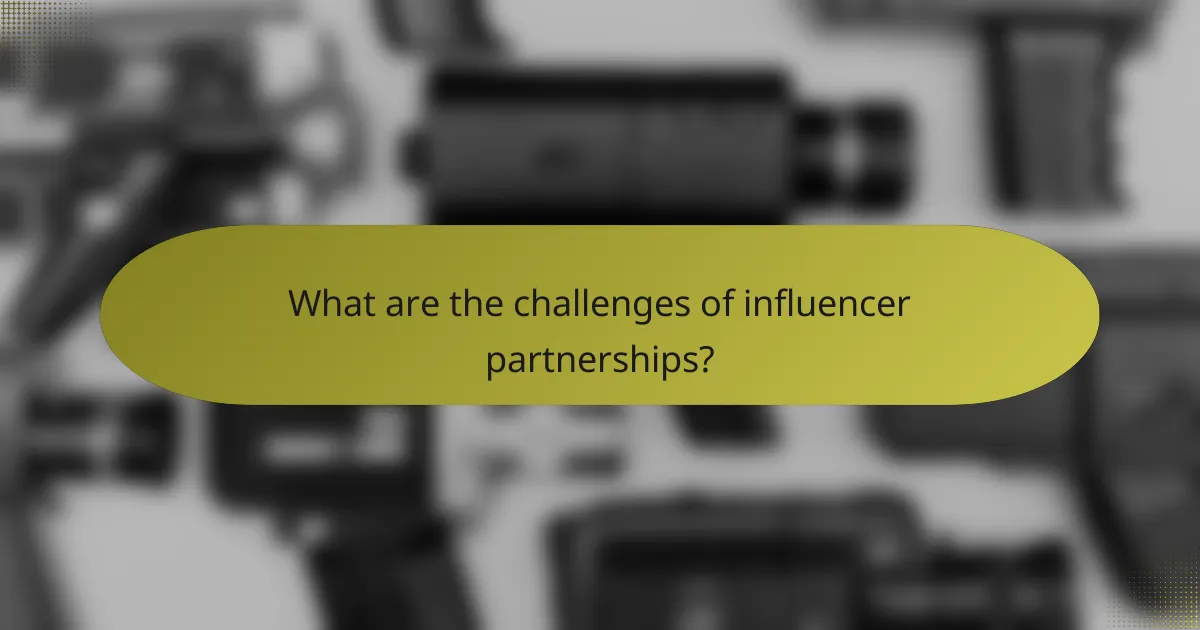 What are the challenges of influencer partnerships?