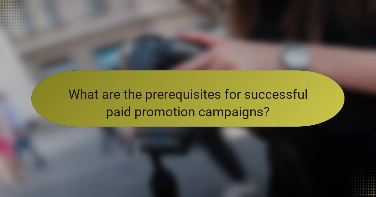What are the prerequisites for successful paid promotion campaigns?